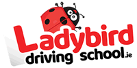 Logo Ladybird Driving School Dublin